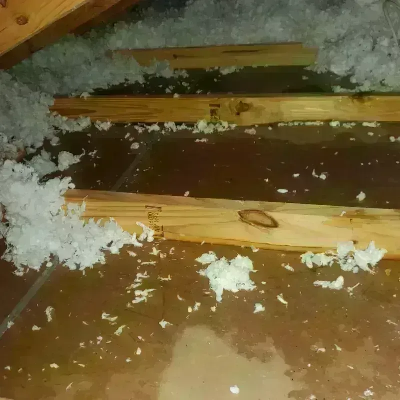 Attic Water Damage in Mantorville, MN