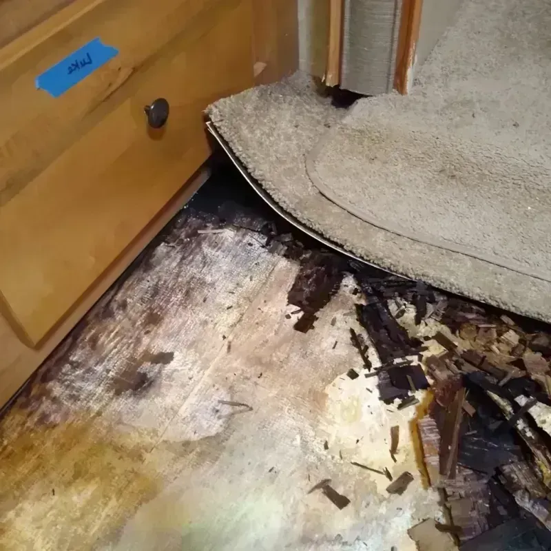 Best Wood Floor Water Damage Service in Mantorville, MN